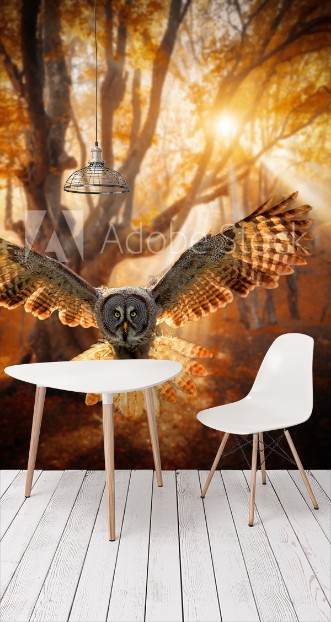 Picture of Gray Owl